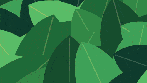 Miền Trái — Xuất khẩu trái cây
